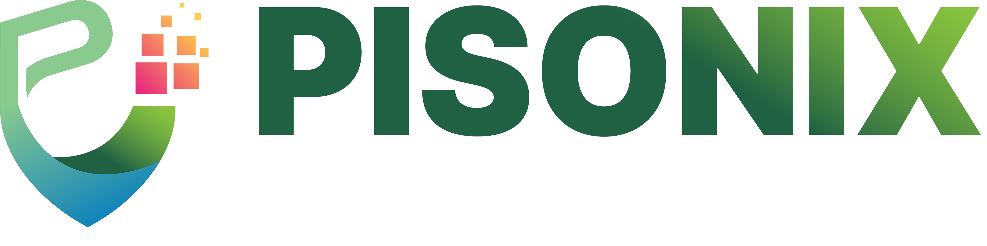 Pisonix Infratech Limited